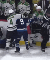 Dallas Stars Fight GIF by RYSE