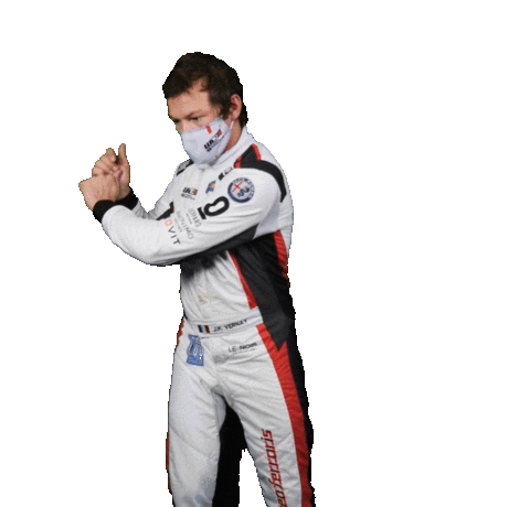 Jean-Karl Vernay Driver Sticker by FIA World Touring Car Cup