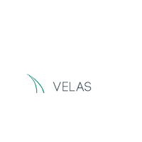 Velas Vallarta Sticker by Velas Resorts