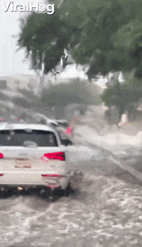 Just Another Rainy Day In Texas GIF by ViralHog