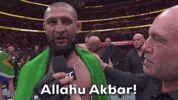 Sport Mma GIF by UFC