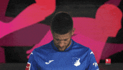 Look Up Tsg Hoffenheim GIF by Bundesliga