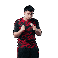 Mma Boxing Sticker by SINNERS Esports