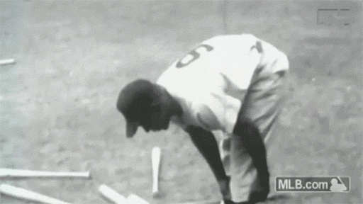 cws GIF by MLB