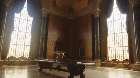 College Bears GIF by Baylor University