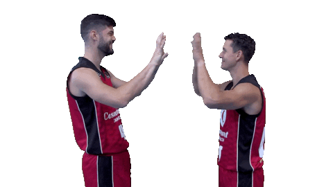 Liga Endesa Win Sticker by ACB