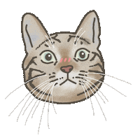Kiki Jeng Sticker