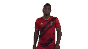 Red Devils Football Sticker by Royal Belgian FA