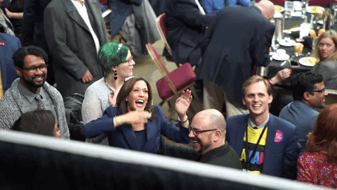 See You Reaction GIF by Kamala Harris