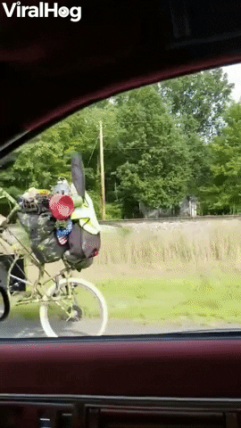 Very Unique Bike Spotted In Indiana GIF by ViralHog