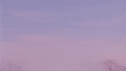 Sunset Country GIF by MaRynn Taylor