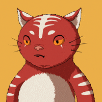 Cat No GIF by Kitaro World