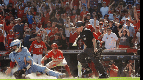 Baseball Mlb GIF by Cincinnati Reds