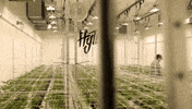 Chocolate Working GIF by Exclusive Brands