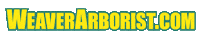 WeaverArborist new post tree trees wood Sticker