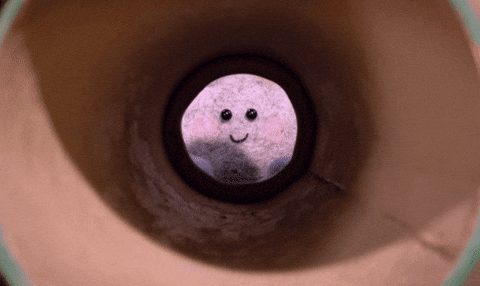 tweedyandfluff giphyupload love cute hello GIF