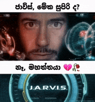 Sri Lanka Sl GIF