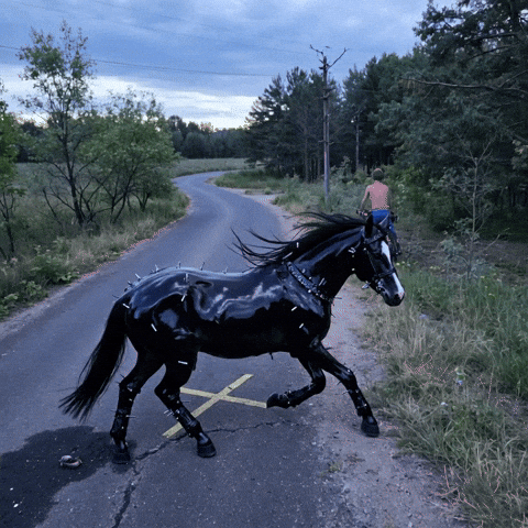 Bg Veo GIF by Aleksey Efremov