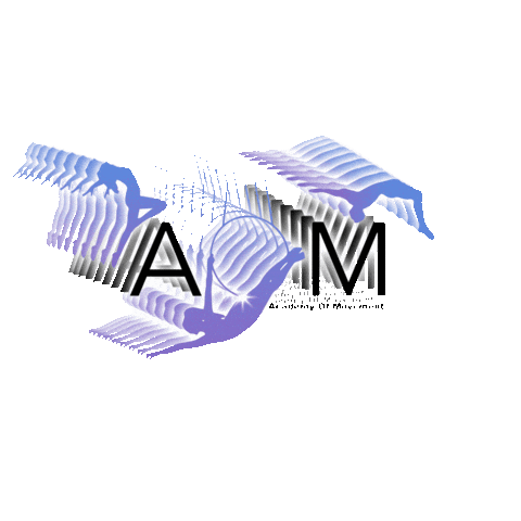 AcademyOfMovement  Sticker