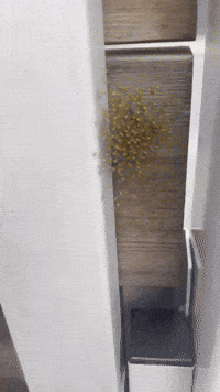 andrzejbansleben spiders itsy bitsy spider baby spider spider egg GIF