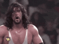wrestlemania xi wrestling GIF by WWE