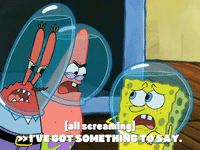 season 6 gullible pants GIF by SpongeBob SquarePants