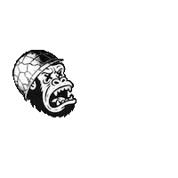 Sorry Beach Sticker by El Primo Brand