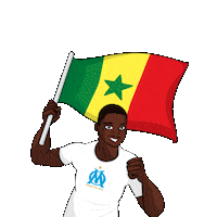 Pays World Cup Sticker by Olympique de Marseille