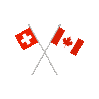 Canadian Flag Team Sticker by Canadian Junior Cup