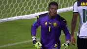 Lets Go Yes GIF by CAF