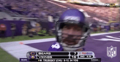 Minnesota Vikings Football GIF by NFL