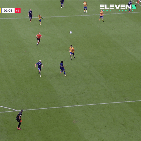 South Africa Percy GIF by ElevenSportsBE