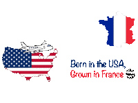 France Usa Sticker by pictarine
