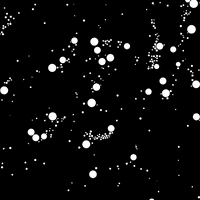 Mesmerizing Black And White GIF by xponentialdesign