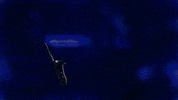 GIF by Snarky Puppy