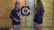 cnvb 2018cnvb GIF by Carson-Newman Athletics