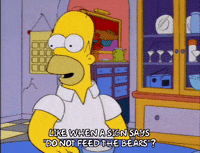 homer simpson episode 23 GIF
