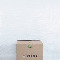 lidlwebcare GIF by Lidl