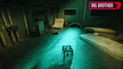 Bbau GIF by Big Brother Australia