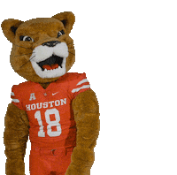 Football Go Coogs Sticker by University of Houston