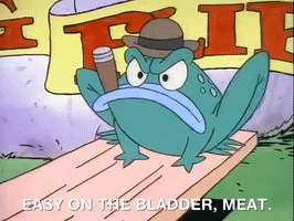 rockos modern life nicksplat GIF