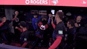 Blue Jays Hug GIF by Toronto Blue Jays