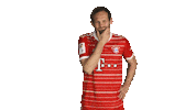 Bayern Sommer Sticker by Bundesliga