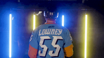 Hockey Echl GIF by Toledo Walleye