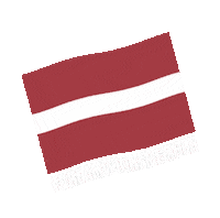 Ehfeuro2020 Sticker by EHF