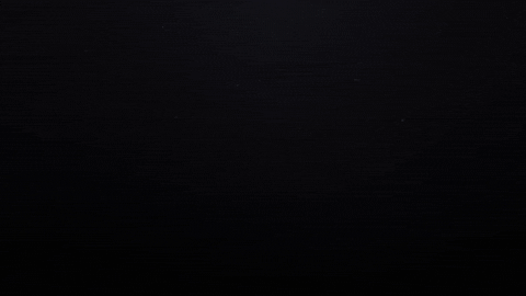 Lbfc GIF by Lionsbridge FC