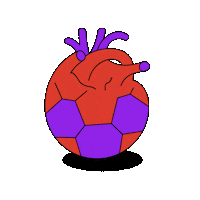 Soccer Pigeon Sticker by Calle