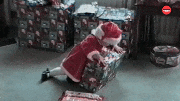 Christmas Fail GIF by BuzzFeed