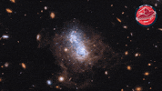 James Webb Nasa GIF by ESA Webb Space Telescope