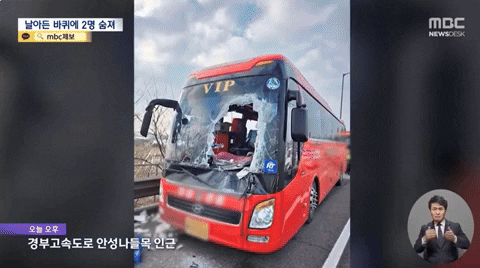 yj_jane giphyupload GIF